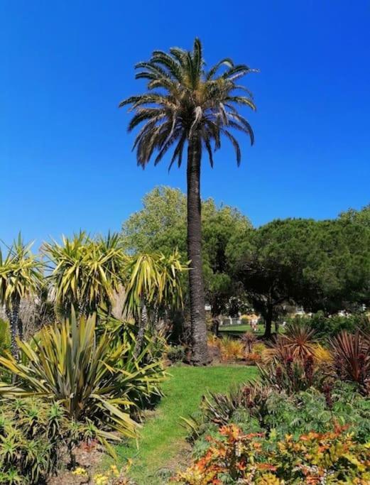 Charmant Studio Renove A Antibes, Plage A 10 Min A Pied Exterior photo
